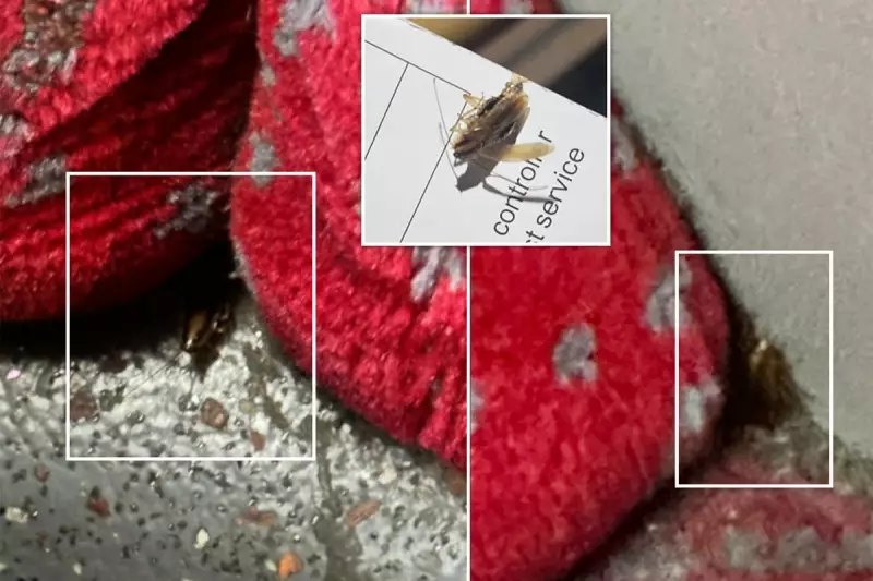 Cockroach Crisis: London's Bus Fleet Faces Major Infestation Problem