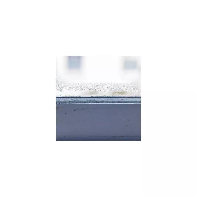Condensation Crisis? Why Your Windows Are Crying and What It Really Means For Your Home