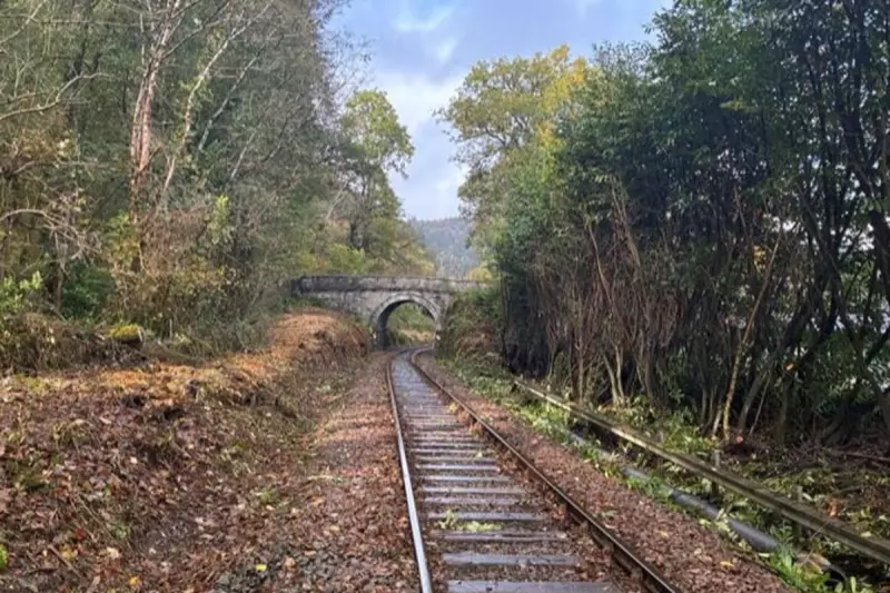 Conwy Valley Railway Triumphantly Reopens After Devastating Storm Damage