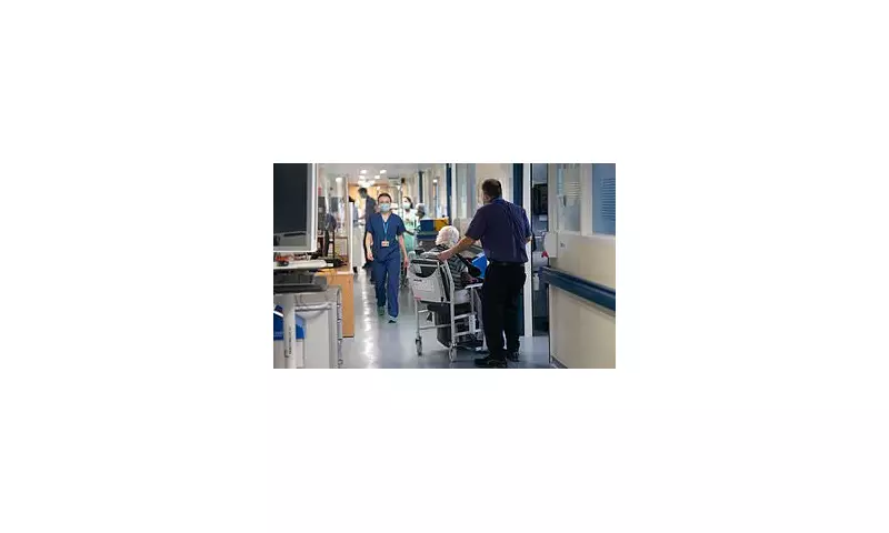 Corridor Care Crisis: NHS Patients Endure 'Third World' Conditions Year-Round, Doctors Warn