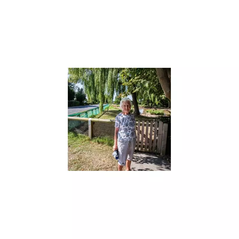 Council Axes Beloved Village Chestnut Tree in Shocking Chainsaw Massacre