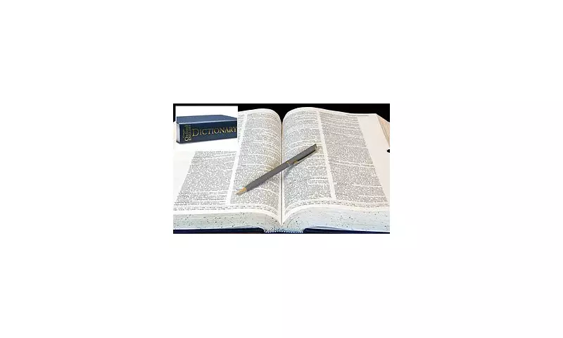 Dictionary.com's 2025 Word of the Year Revealed: The Term That's Redefining Our Digital World