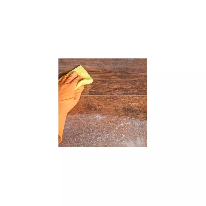 Dust Be Gone: The Ultimate Expert Guide to Banishing Dust From Your Home Forever