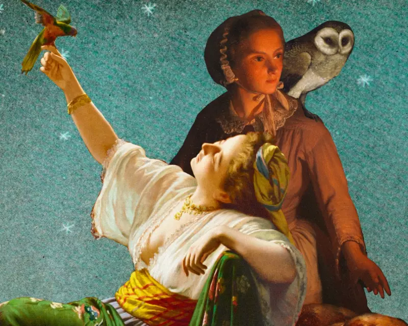 Early Birds vs Night Owls: Which Sleep Pattern Truly Wins for Health and Productivity?