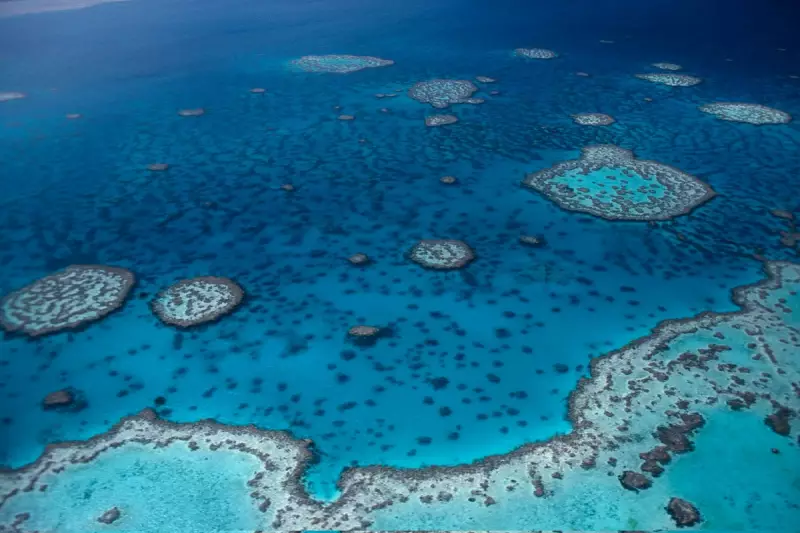 Earth Has Lost 20% of Rivers and Lakes Since 1999, WWF Report Reveals