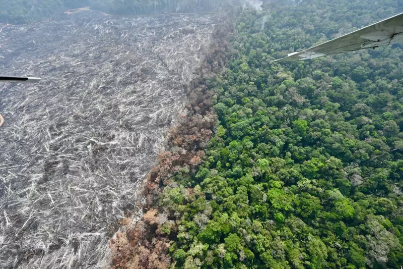 Earth's Climate Tipping Point: Coral Reefs Face Unprecedented Crisis