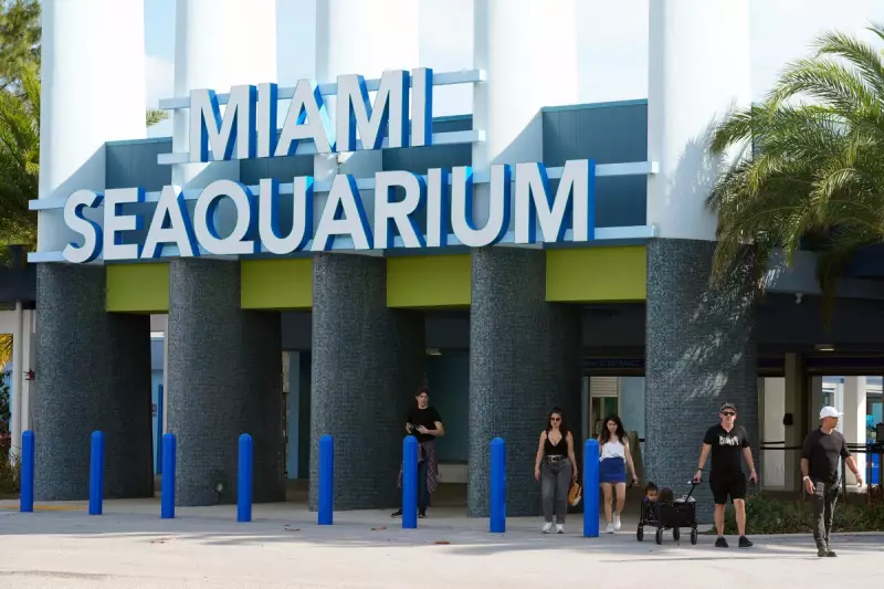 End of an Era: Miami Seaquarium's Orca Lolata Released After 50 Years in Captivity