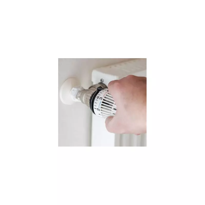 Energy Expert Reveals: Leaving Heating On Low All Day Could Slash Your Winter Bills