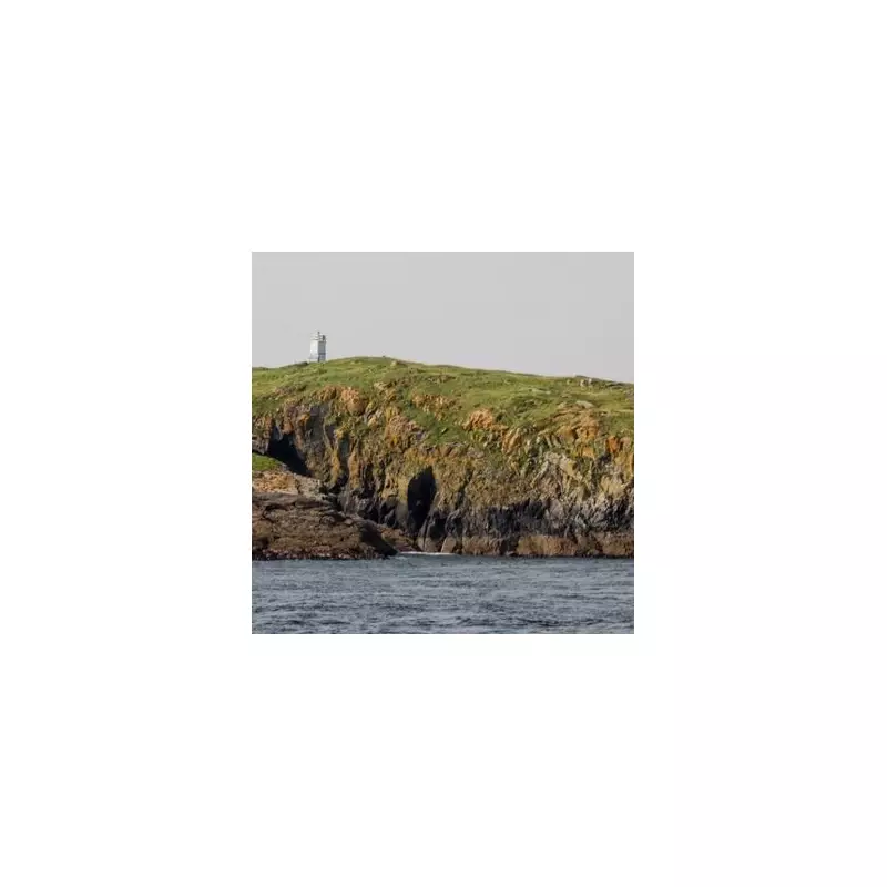 Escape to Your Own Private Island: Stunning UK Coastal Retreat Available for Exclusive Getaways