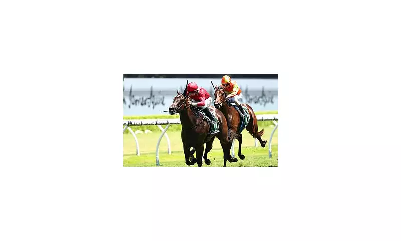 Ex-AFL Star Banned in Shocking Randwick Horse Incident - Racing World Stunned