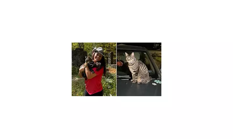 Family's Terrifying Motorway Ordeal: Cat Survives 70mph Journey Strapped to Car Roof