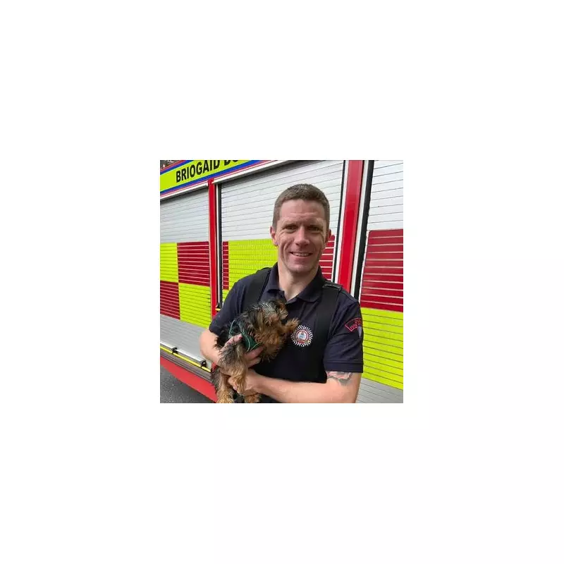 Firefighter Jailed for Brutal Rape After Night Out in Westminster