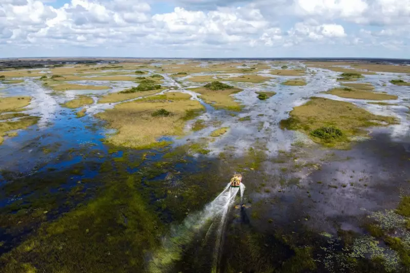 Florida's Everglades in Peril: Scientist's Dismissal Sparks Fears for Critical Restoration