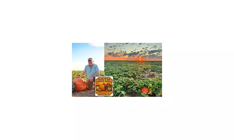 Floydada: The Texas Town That Became America's Unlikely Pumpkin Capital