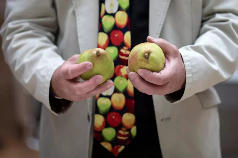 Forget Apples: Why This Sweet Autumn Fruit Is Your Gut's Best Friend