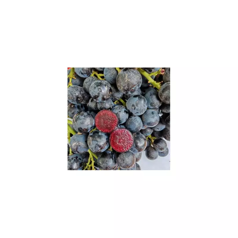 Forget Avocados! This UK Superfruit Is The New Health Powerhouse You Need To Try