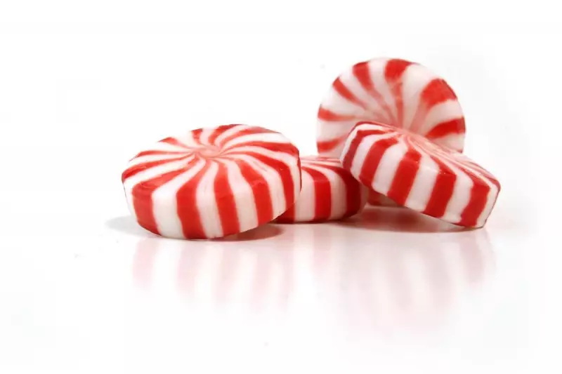 Forget the Tissues: Why Peppermints Could Be Your New Best Friend This Cold Season