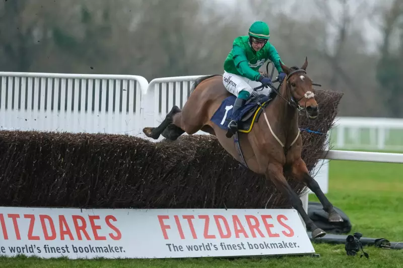 Friday's Racing Gold: Expert Tips for Cheltenham & Doncaster on October 24th