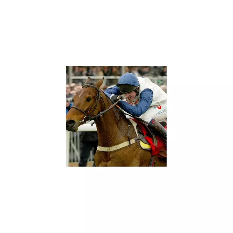 Galileo Poland Storms to Shock Victory in Thrilling Cheltenham Festival Opener