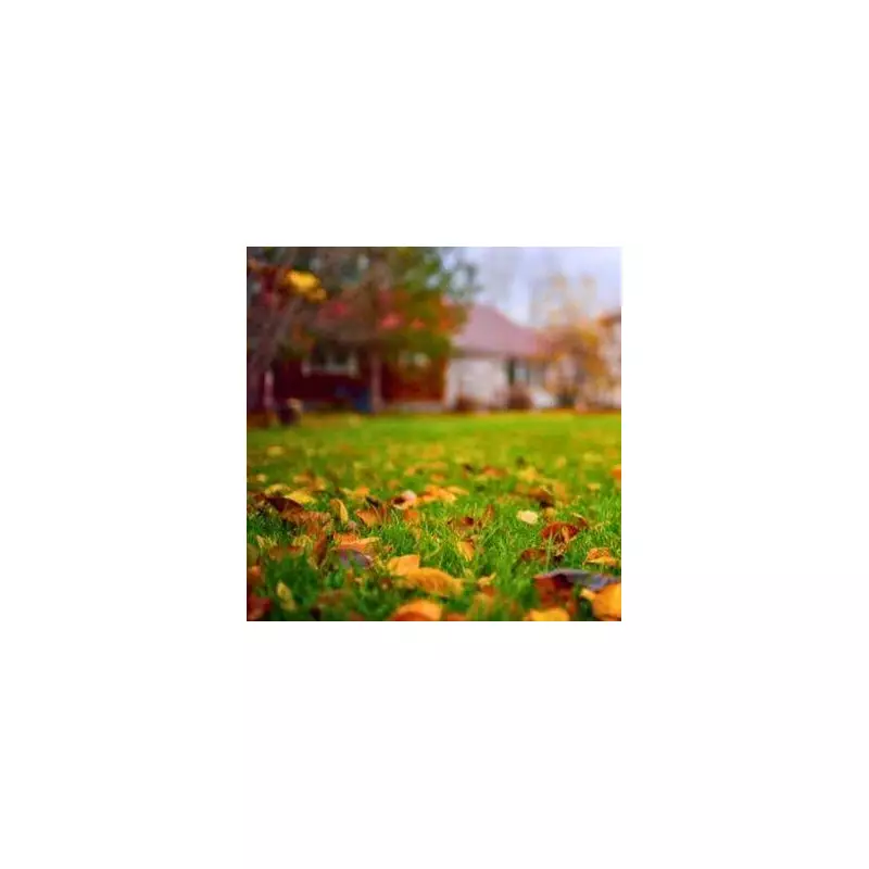 Garden Experts Reveal: 5 Essential Steps to Transform Your Lawn for Spring