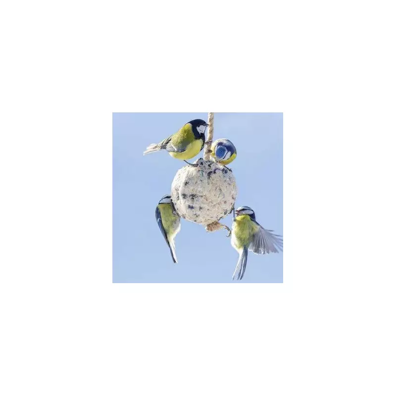 Gardeners' Secret Weapon: How to Attract Beautiful Blue Tits to Your Garden