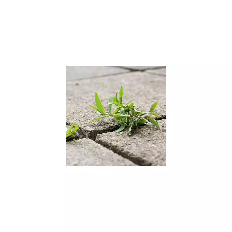 Gardeners' Secret Weapon: The Ultimate Guide to Eliminating Weeds Forever