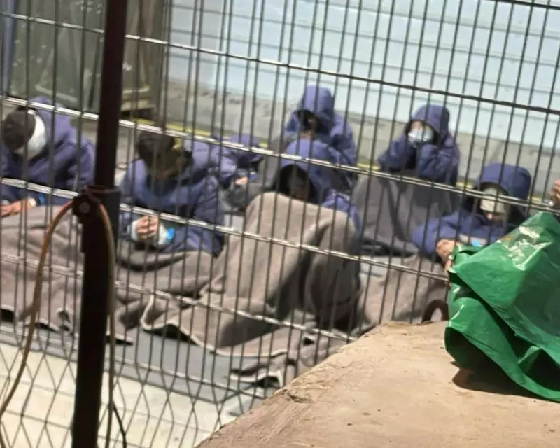 Gaza Officials: Mutilated Palestinian Bodies Recovered from Notorious Israeli Detention Facility