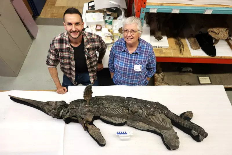 Giant 180-Million-Year-Old Sea Dragon Unearthed on Dorset Coast in Historic Discovery