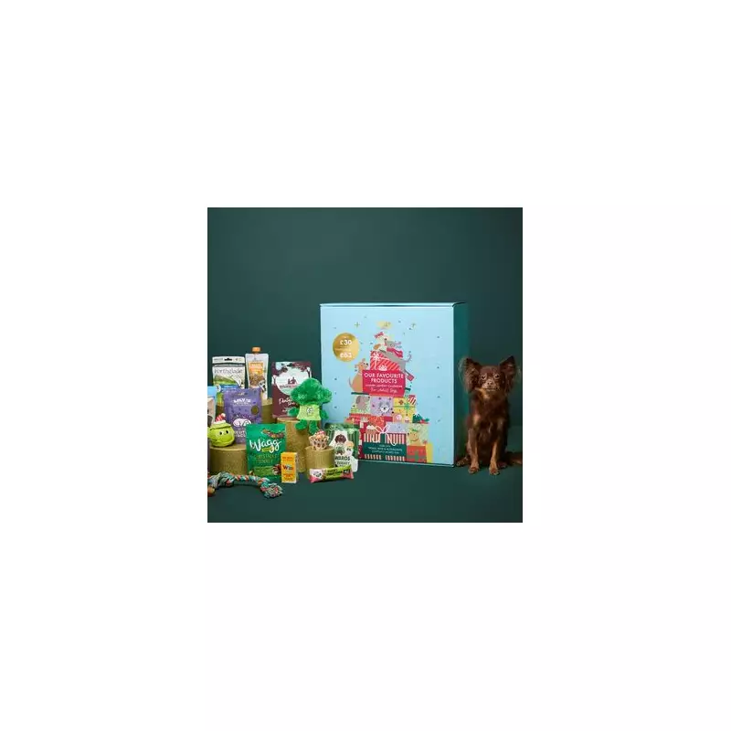 Giant Dog Advent Calendar Goes Viral: Don't Miss This Pawsome Christmas Deal