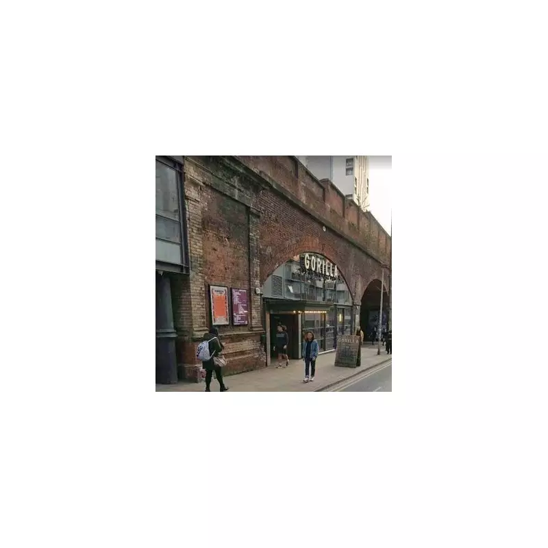 Gorilla Escapes Bar Enclosure: 19-Year-Old Worker's Terrifying Ordeal in Sheffield