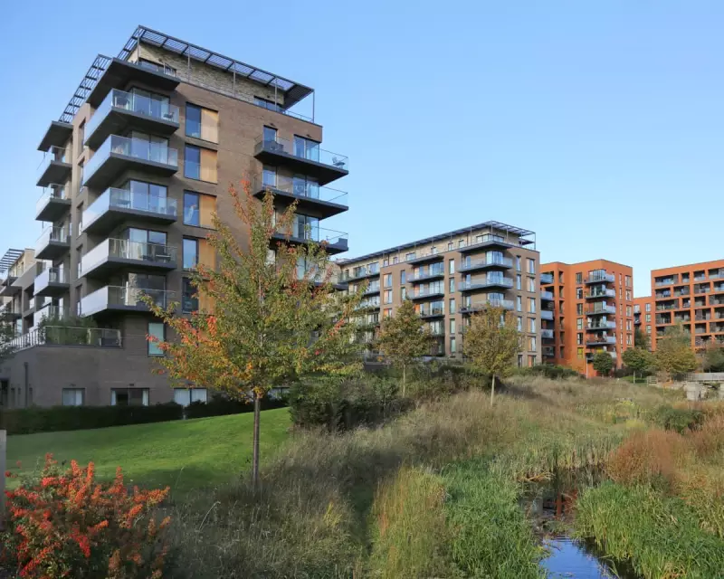 Green Dreams, Grey Reality: The Garden Sacrifice Young Buyers Are Forced to Make