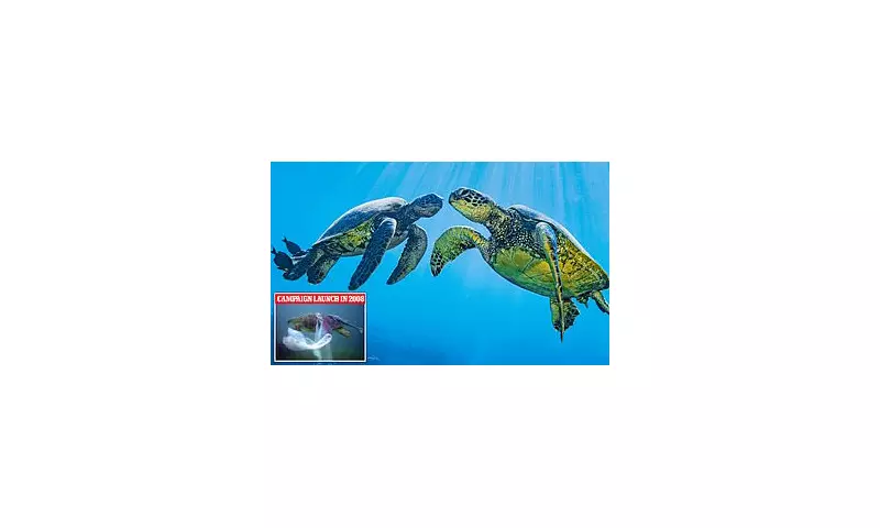 Green Turtles on the Brink: How Climate Change and Human Activity Threaten a Marine Icon