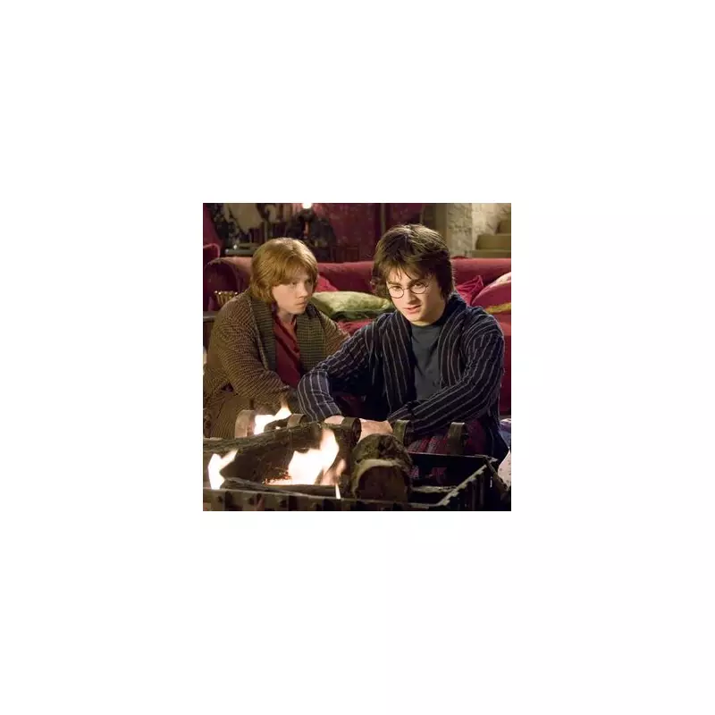 Harry Potter's Most Obscure Character Has A Shockingly Impressive Real-Life CV