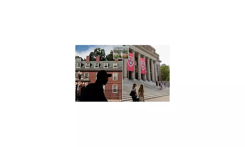 Harvard's Diversity Dilemma: Black Student Numbers Plummet Following Affirmative Action Ban