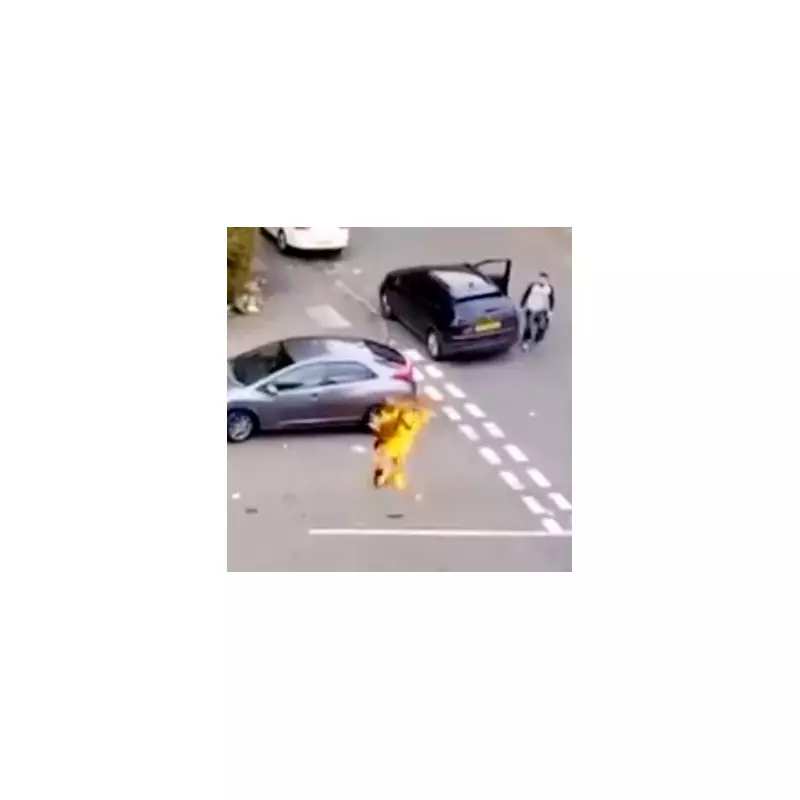 Hero Bystander Uses JCB Digger in Daring River Rescue to Save Drowning Man