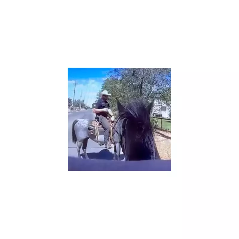 Heroic Bystanders Tackle Fleeing Criminal in Dramatic Street Chase