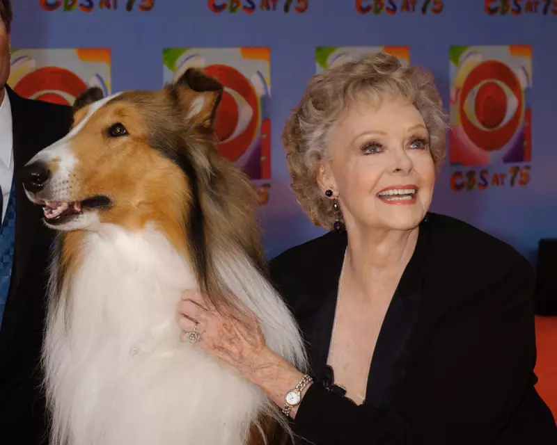Hollywood Legend June Lockhart Passes Away at 100 | Celebrated Star of Lassie and Lost in Space