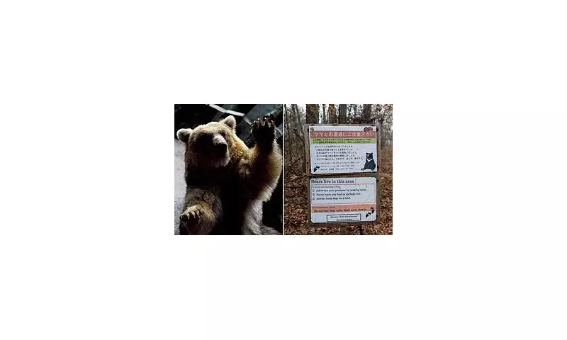 Horrific Bear Attack Leaves Elderly Mushroom Picker Fighting for Life in Swedish Wilderness