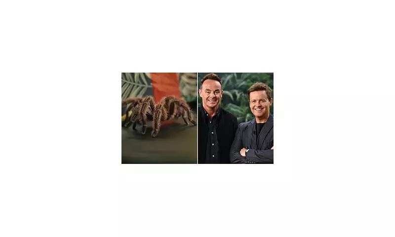 I'm A Celebrity 2024 First Look: Explosive Teaser Trailer Drops as Countdown to Jungle Mayhem Begins!