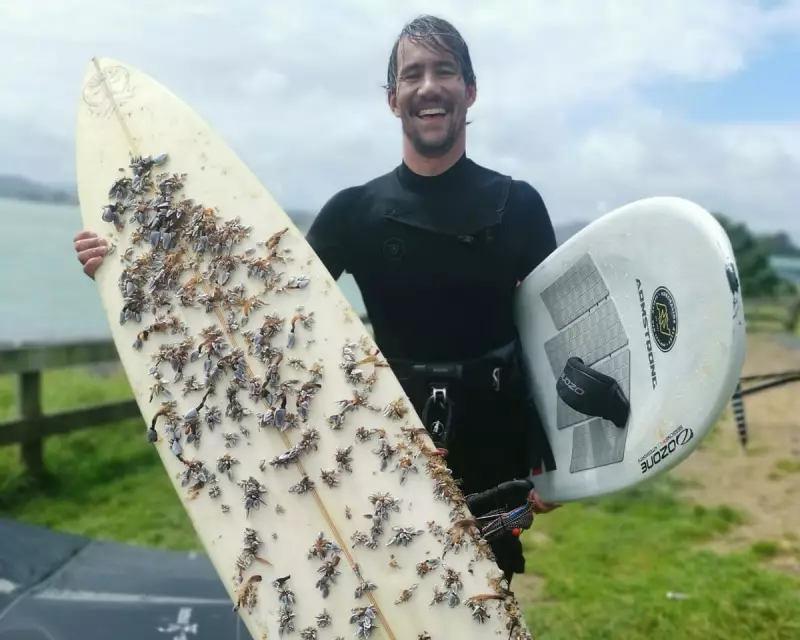 Incredible Ocean Journey: Surfboard Lost Off Australian Coast Washes Up in New Zealand After 2,400km Voyage