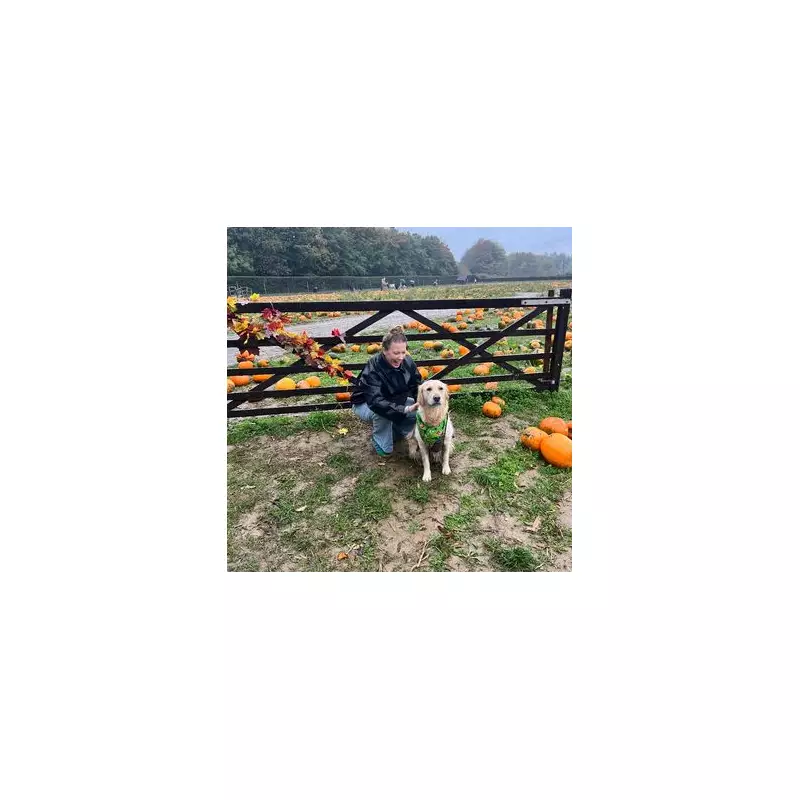 Inside Britain's Most Famous Pumpkin Farm: A Spooktacular Autumn Adventure Awaits