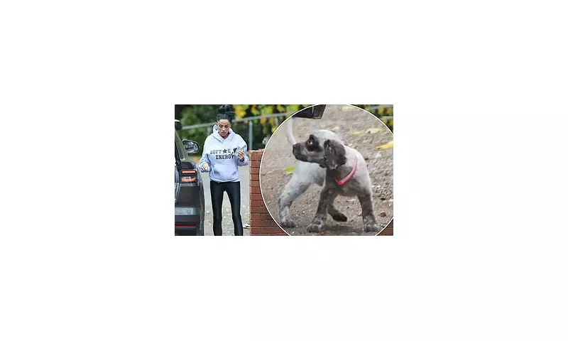 Katie Price Defies Animal Charity Pleas With New Puppy Acquisition