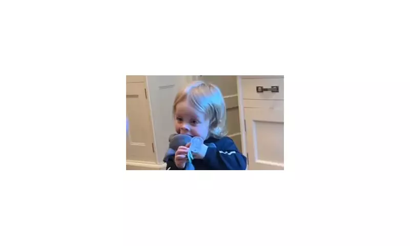 Kelly Osbourne's Toddler Son Sidney Takes After Grandfather Ozzy in Bizarre Bat Biting Incident