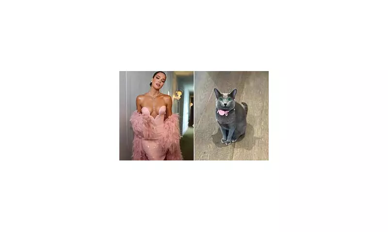 Khloe Kardashian's Shocking Confession: 'I Haven't Had Sex in Three Years - My Cat Sleeps in My Bed Instead'