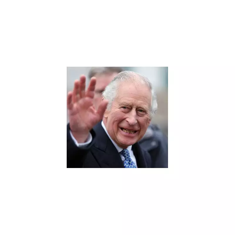 King Charles Makes Major Announcement About Royal Family's Future Plans