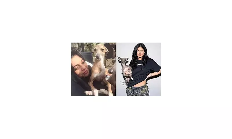 Kylie Jenner's Beloved Dog Norman Tragically Passes Away | Heartbreak for Reality Star