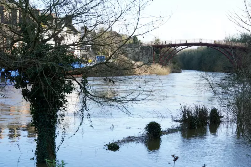 Labour's Green Gambit: Party Pledges to Revive England's Nature with Bold New Agency