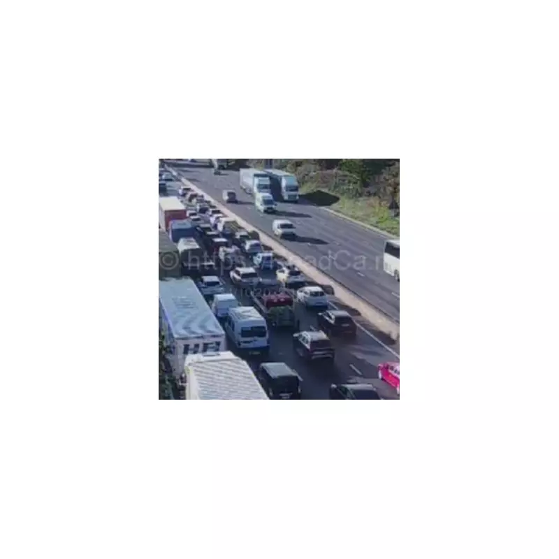 M6 Motorway Chaos: Multi-Vehicle Crash Sparks 7-Mile Queues and Hours of Delays