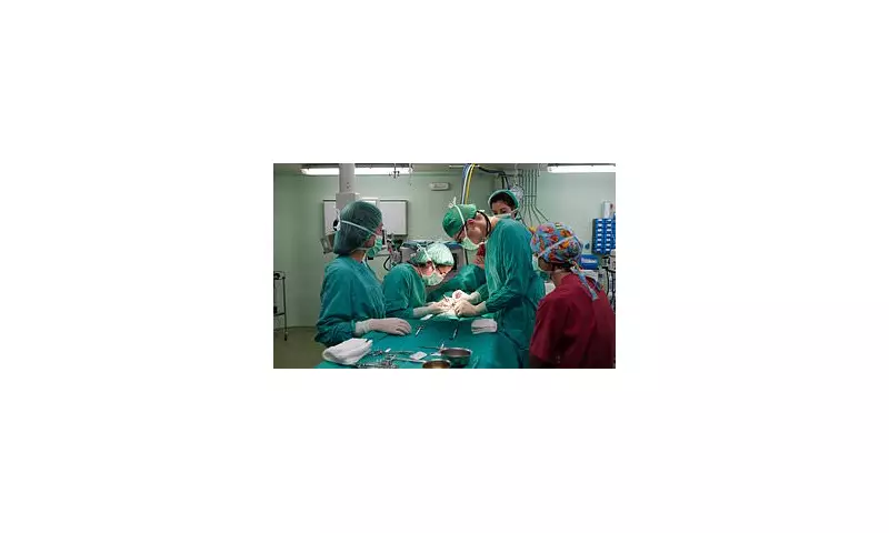Medical Marvel: Genetically Modified Pig Liver Successfully Filters Human Blood in Groundbreaking Transplant Trial