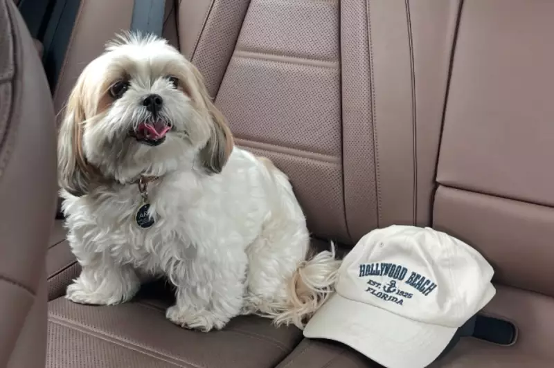 Miami Shores Family Awarded £1.5 Million After Family Dog Killed by Police Rover